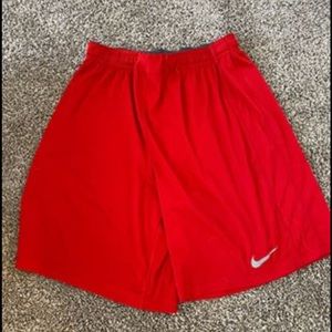 Nike DRI-FIT Shorts - Men’s XL